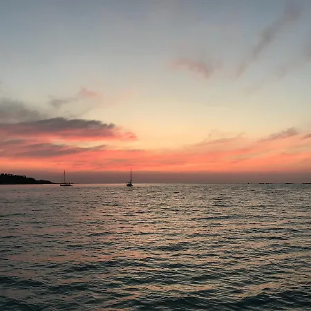 Catamaran And Special Events *